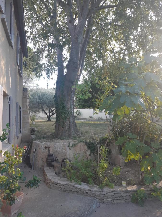 La Cartagene - Chambre Double กัลวีสซง ภายนอก รูปภาพ